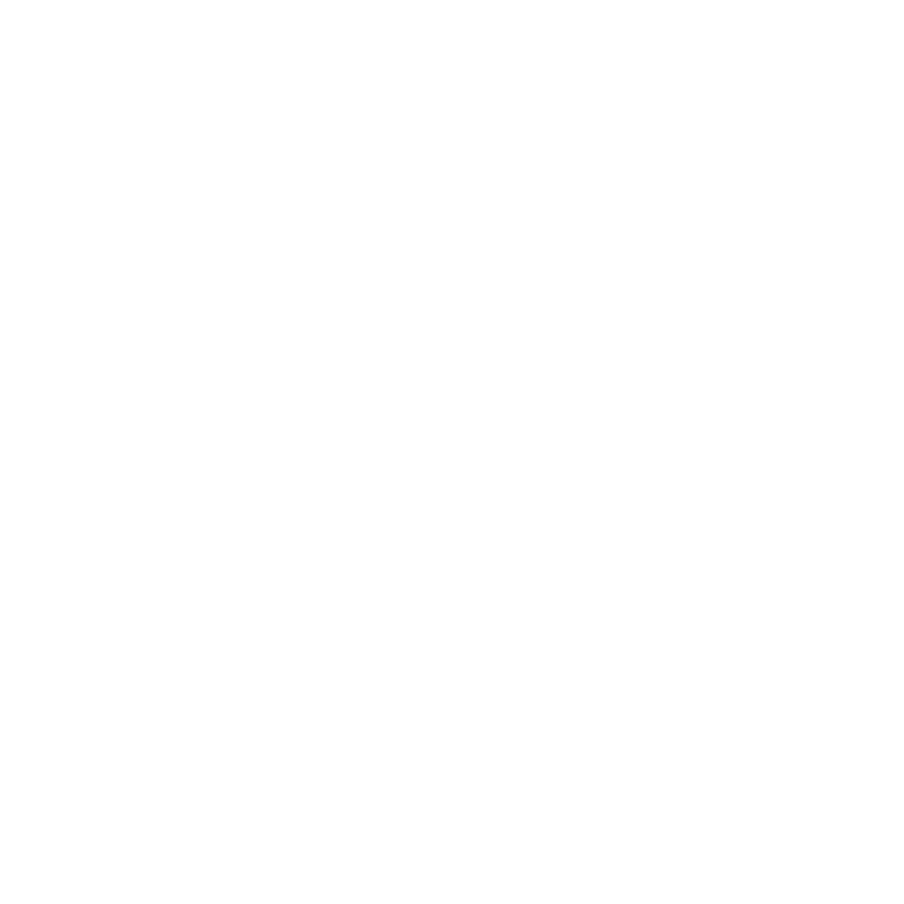 D'ansa Academy